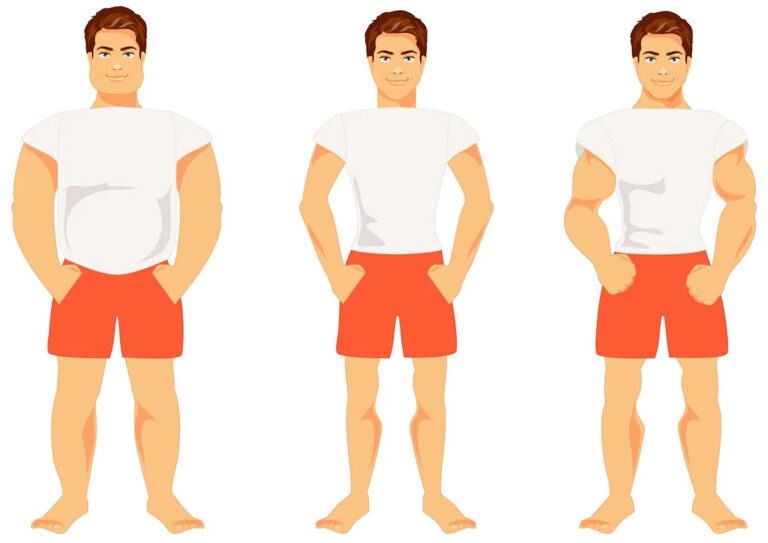 شناخت انواع تیپ بدنی (اکتومورف، مزومورف، اندومورف) + برنامه تمرین و تغذیه