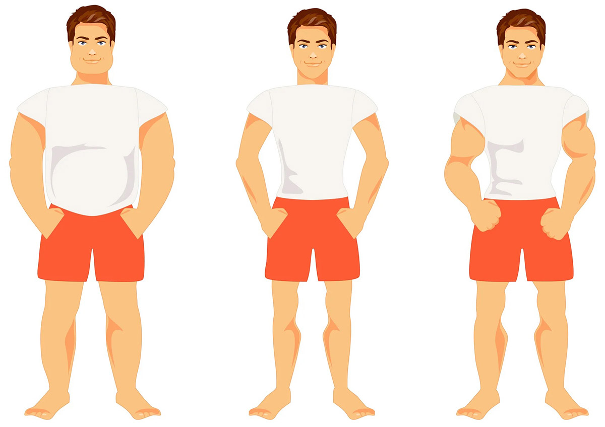 شناخت انواع تیپ بدنی (اکتومورف، مزومورف، اندومورف) + برنامه تمرین و تغذیه